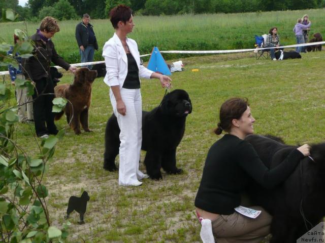 Фотография № 28557