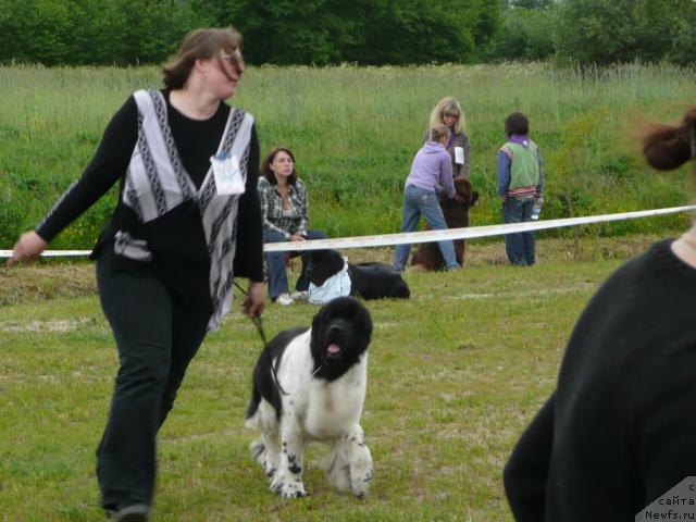 Фотография № 28558