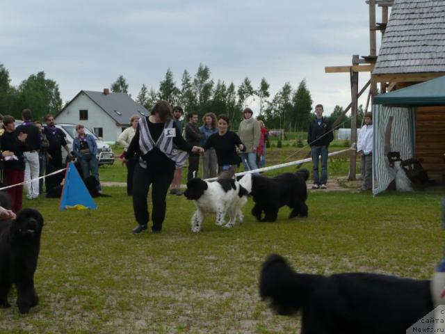 Фотография № 28559