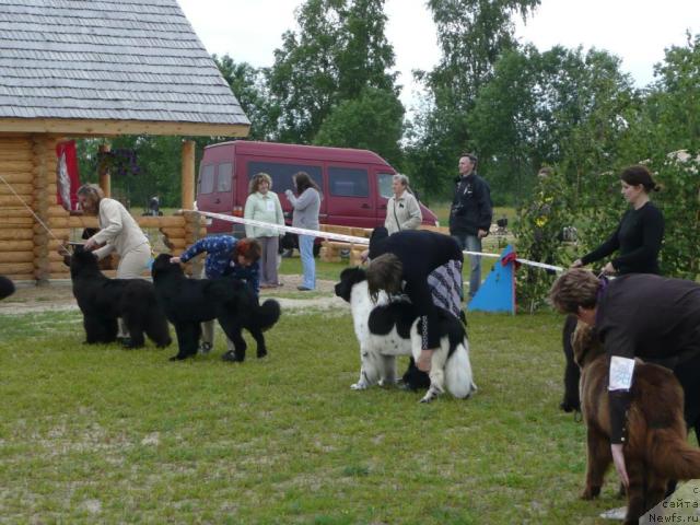 Фотография № 28560