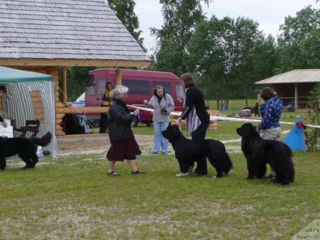 Фотография № 28561