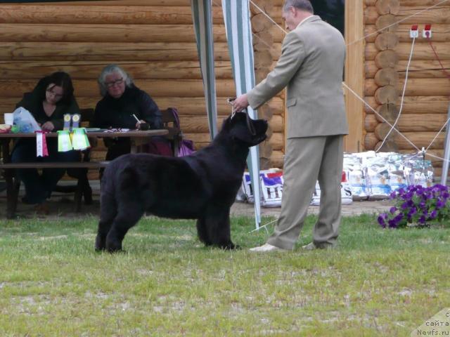 Фотография № 28562