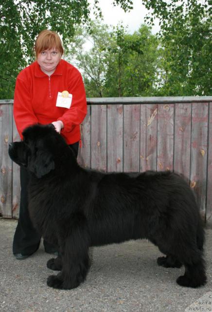 Фотография № 28579