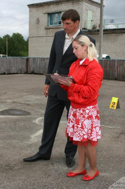 Фотография № 28580