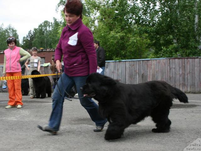 Фотография № 28582