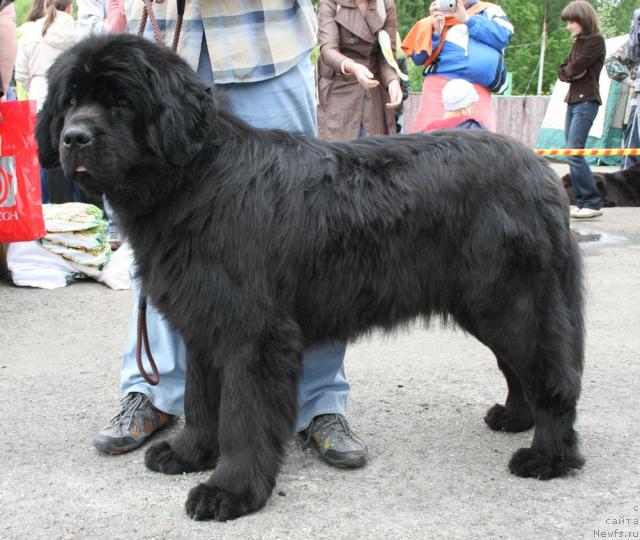 Фотография № 28590