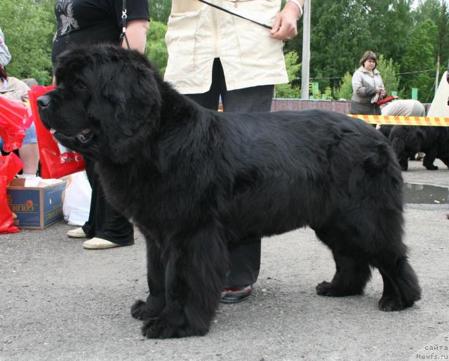 Фотография № 28591