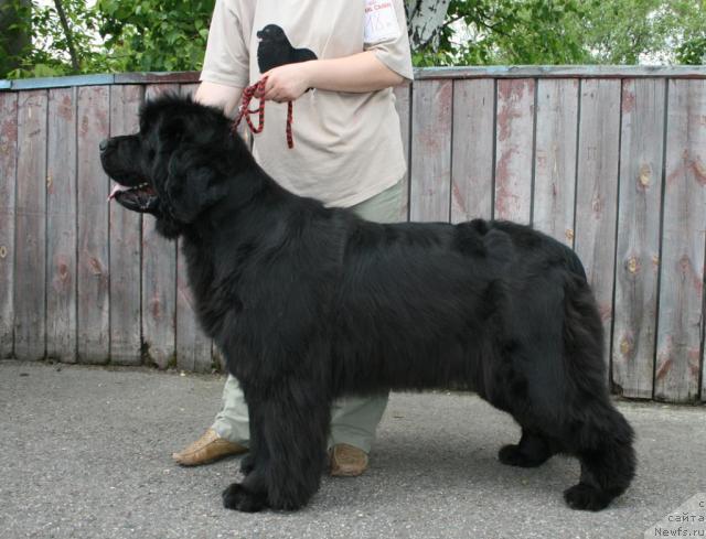 Фотография № 28596