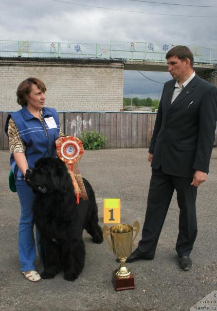 Фотография № 28598