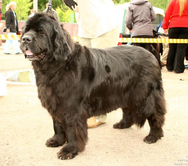 Фотография № 28600