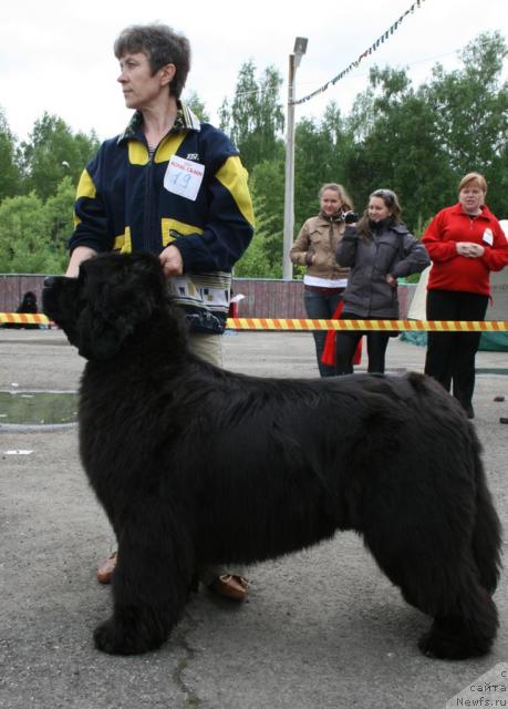 Фотография № 28602