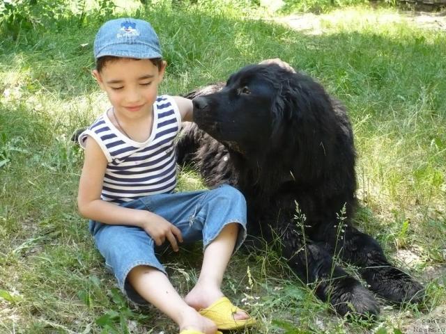 Фотография № 28609