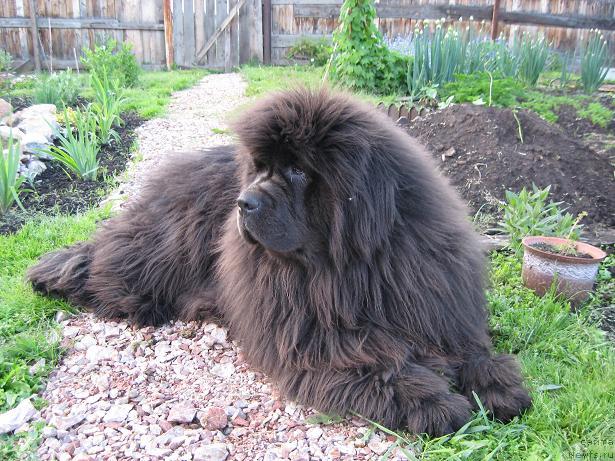 Фотография № 28809