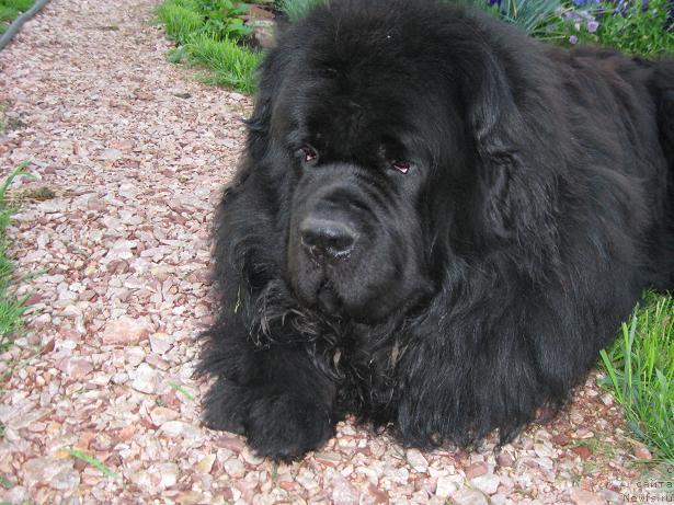 Фотография № 28814