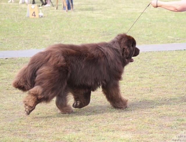 Фотография № 28864