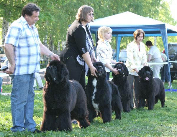 Фотография № 28876