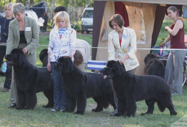 Фотография № 28879