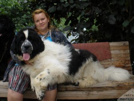 Фотография № 28886