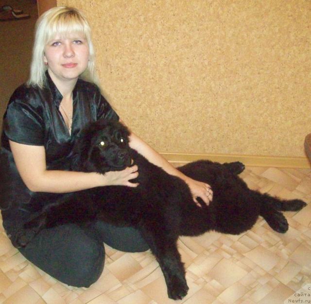 Фото: ньюфаундленд Любовь Земная, Анна Портнякова