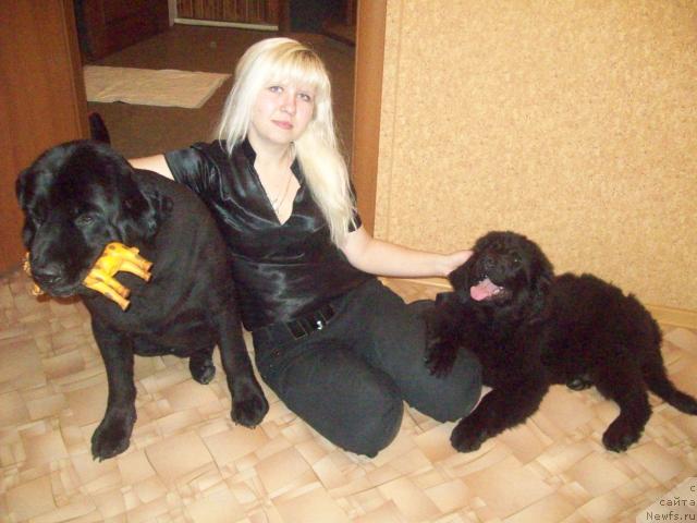 Фото: ньюфаундленд Любовь Земная, Анна Портнякова, ньюфаундленд Петер-Беар Понки Рифер Сит