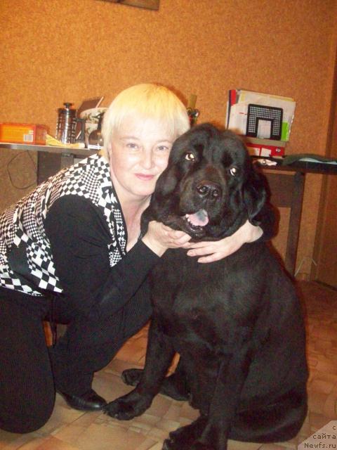 Фото: ньюфаундленд Петер-Беар Понки Рифер Сит, Елена Морозик