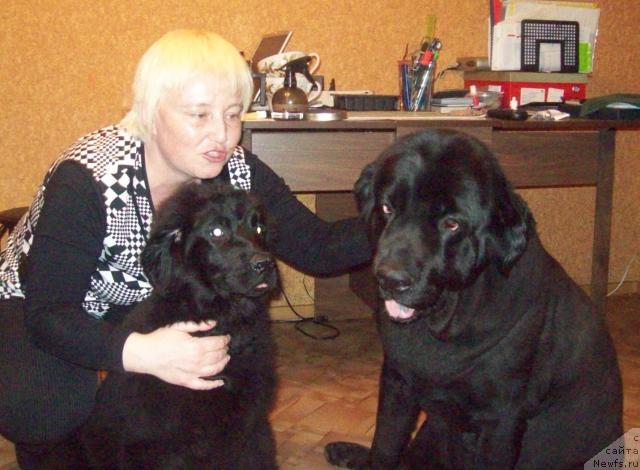 Фото: Елена Морозик, ньюфаундленд Любовь Земная, ньюфаундленд Петер-Беар Понки Рифер Сит