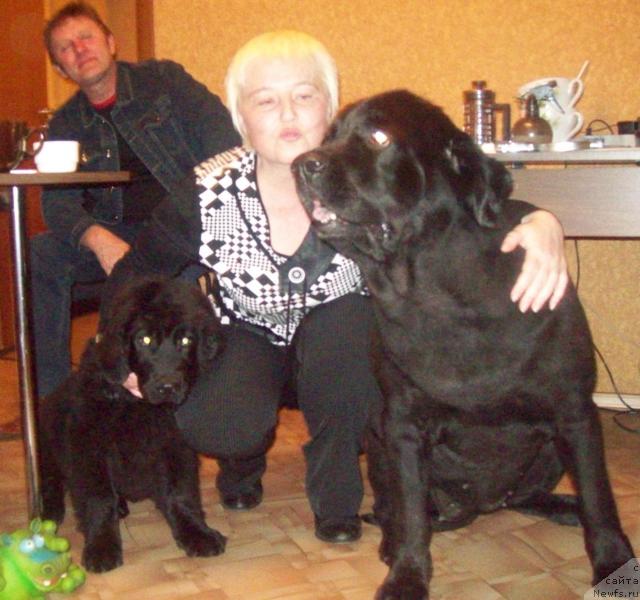 Фото: Елена Морозик, ньюфаундленд Любовь Земная, ньюфаундленд Петер-Беар Понки Рифер Сит