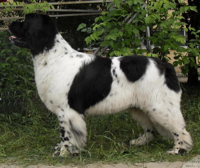 Фотография № 29088