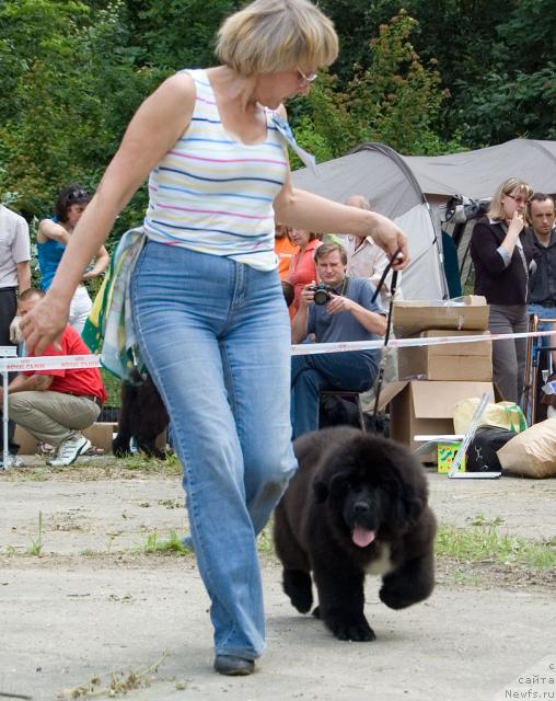 Фотография № 29091