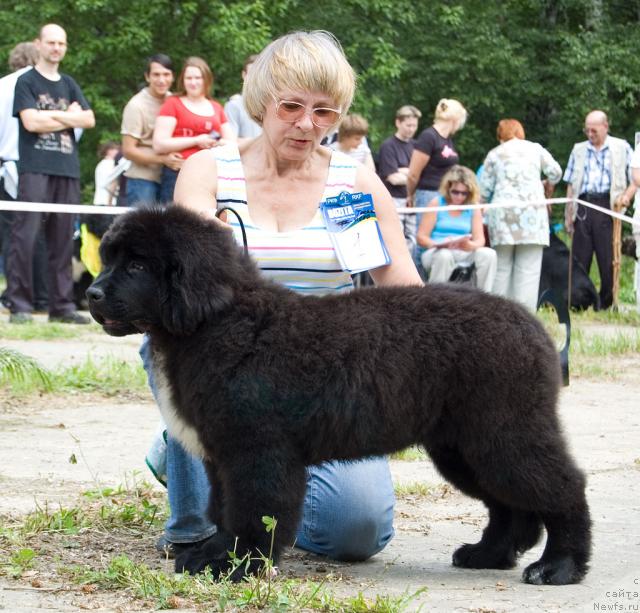 Фотография № 29092