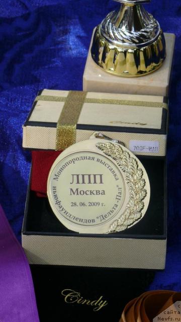 Фотография № 29101