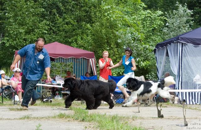 Фотография № 29103