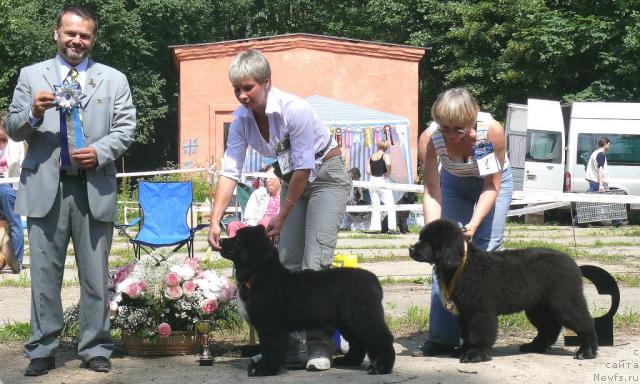 Фотография № 29104