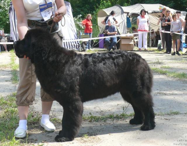 Фотография № 29107