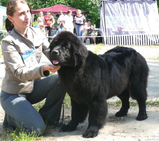 Фотография № 29108