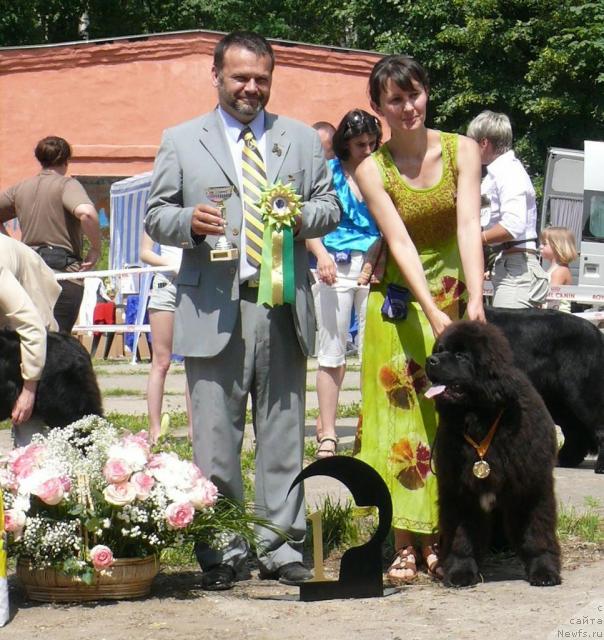 Фотография № 29117