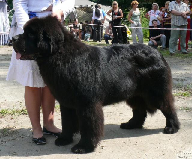 Фотография № 29119