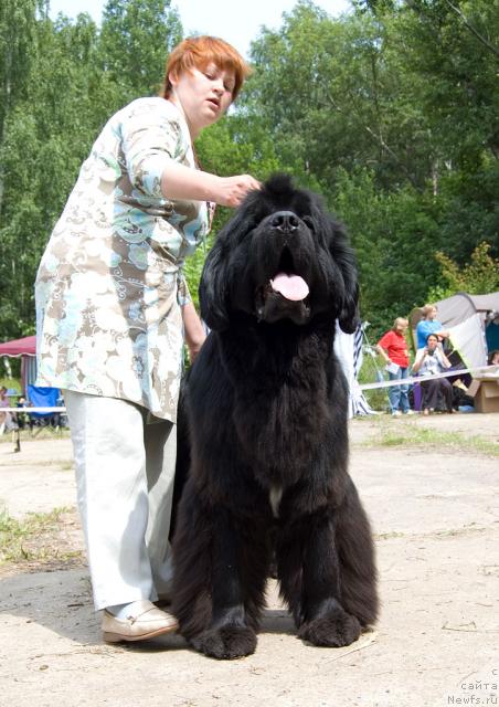 Фотография № 29121