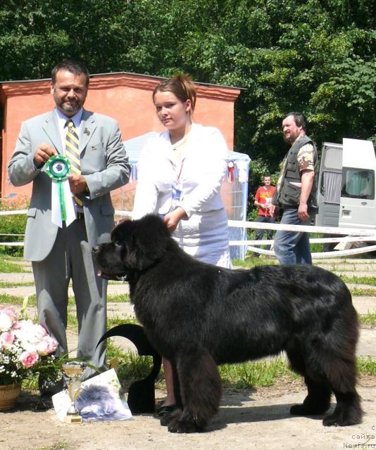 Фотография № 29122