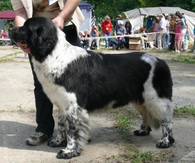 Фотография № 29126