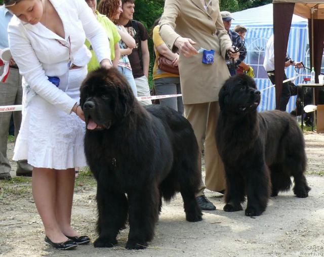 Фотография № 29128