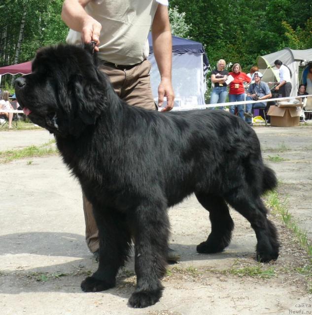 Фотография № 29129