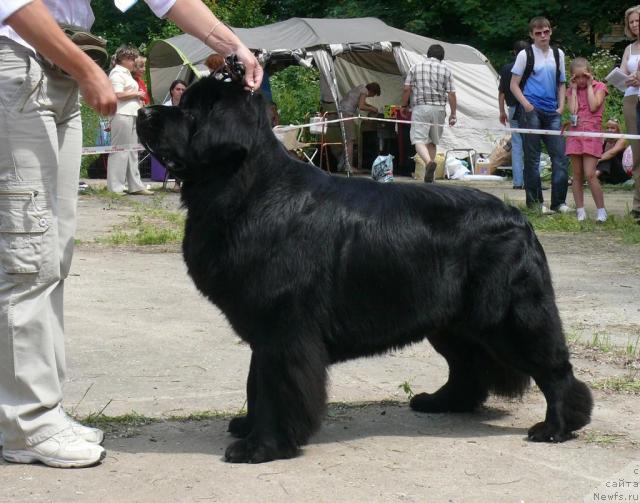 Фотография № 29131