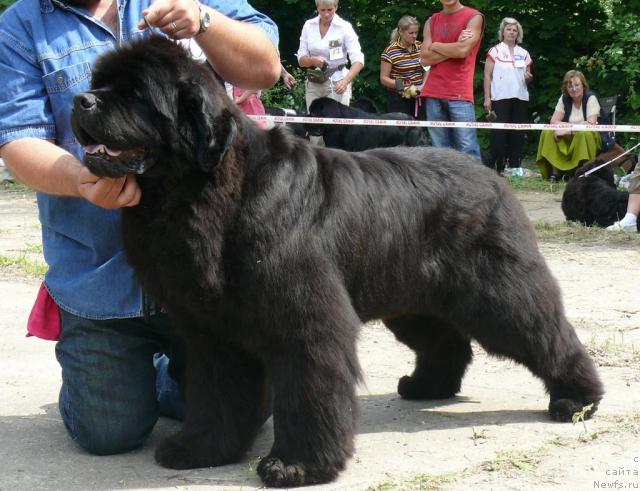 Фотография № 29136