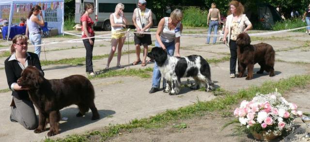 Фотография № 29141