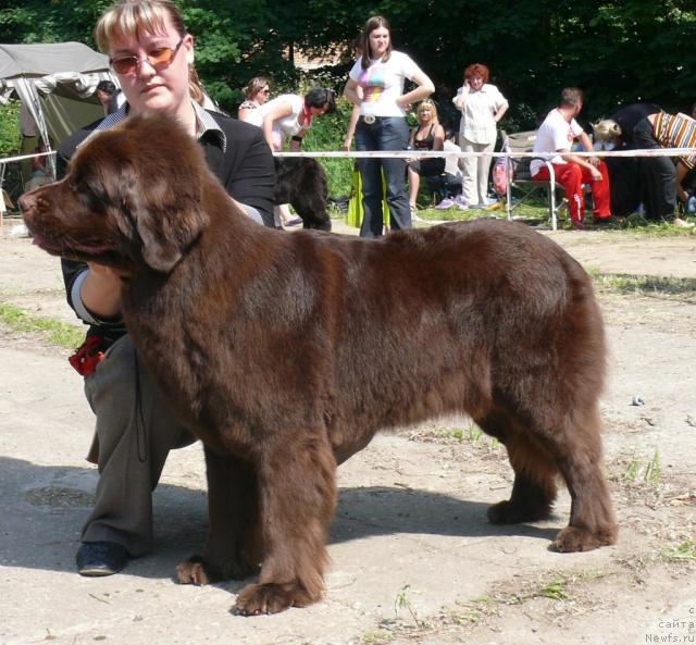 Фотография № 29142