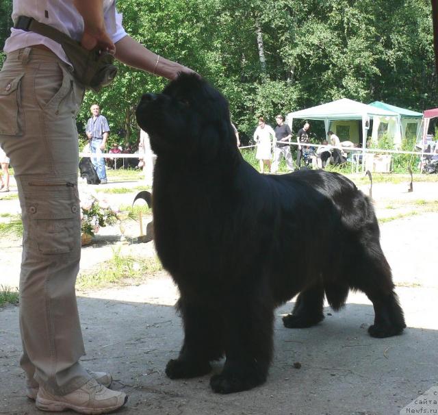 Фотография № 29147