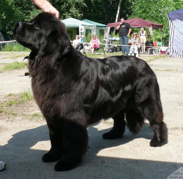 Фотография № 29153