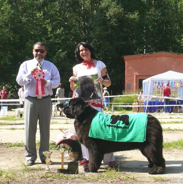 Фотография № 29157