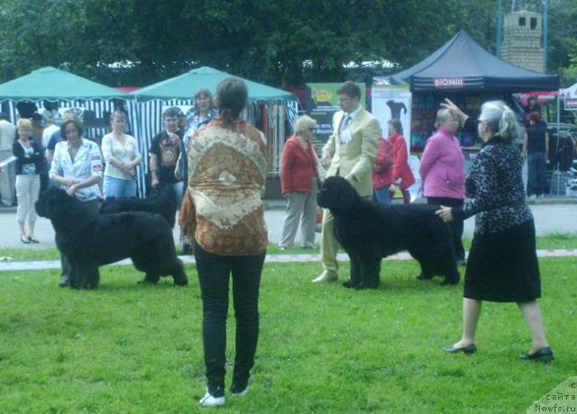 Фотография № 29197